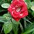 Doreen Waters's profile image