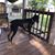 Tracy Van Arsdale Williams's profile image