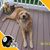 Linda Taylor's profile image