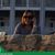 Judy Levin's profile image