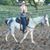 Connie Ellison's profile image