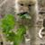 Annie Rutherford's profile image