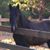 Kathy Marie's profile image