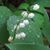 Jenny Treaster Plassio's profile image