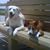Staysea Caston's profile image