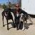 Ana Maria Vasquez's profile image