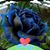 Joy Abbott's profile image