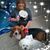 JoAnn Young's profile image