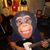 Bob Dinges's profile image