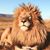 Stacie McGrady's profile image
