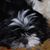 Terry Catt's profile image