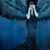 Diana Self's profile image