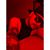 Joey Juarez's profile image