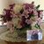 Donna Adams's profile image