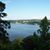 Sue Harmer-Bishop's profile image