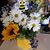 Cheryl Reed's profile image
