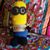 Judy Poole's profile image