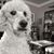 Gilda Garcia's profile image