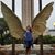 Cyndy Velez's profile image
