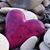 Ann Baldwin-Clarkston's profile image
