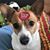 Laura Bauman Shallenberger's profile image