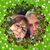 Margie Dolinger's profile image