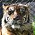 Evelyn Hill's profile image