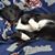Colleen Gilvary DeBardeleben's profile image