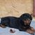 Gelinda Burns Riley's profile image