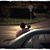 Marcy Monroe's profile image
