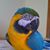 Penny Anderson's profile image