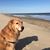 Cynthia Hunn Sell's profile image