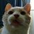 Kat Guy's profile image