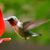 Jackie Kelly Holtzer's profile image