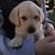 Rebecca Barber's profile image