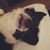 Katie Lucas Murray's profile image