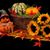 Janica Floyd's profile image