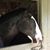 Lauren Richards's profile image
