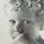 Sammie Mcnulty's profile image