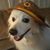 Gary Winfree's profile image