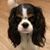 Marcia Conter Davies's profile image