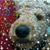 Kathy Kirkland's profile image