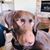 Julie Batchelder-Horetzki's profile image