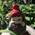 John Suardini's profile image