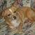 Ken Gibb's profile image