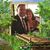 Nick Principe's profile image