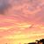 Shelby Neuwirth Richardson's profile image