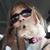 Penny Humphries Davis's profile image