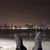 Mamoun Ibrahim's profile image