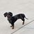 Randy Prothro's profile image
